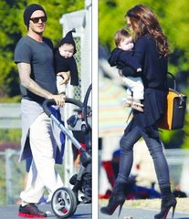 樊振東帶火歐洲乒乓市場！王勵勤出手 拆開林詩棟蒯曼 培養2新人